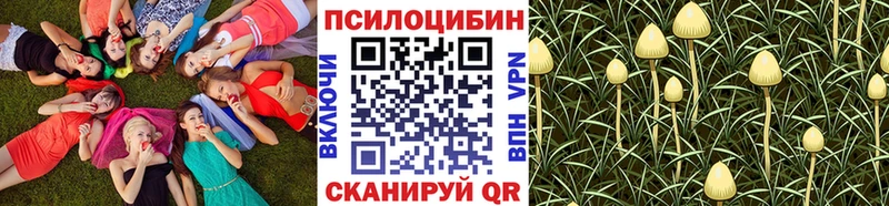 это какой сайт  Каневская  Псилоцибиновые грибы ЛСД 